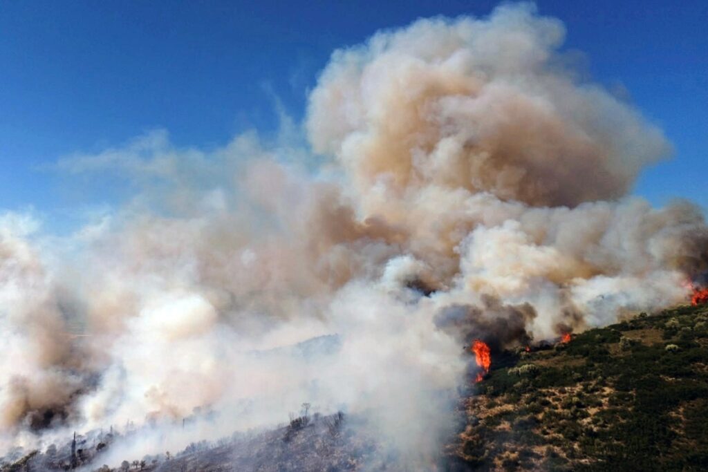 incendi grecia