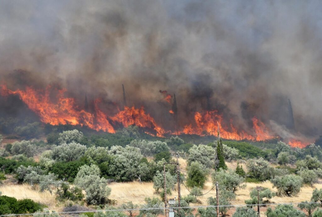 incendi grecia
