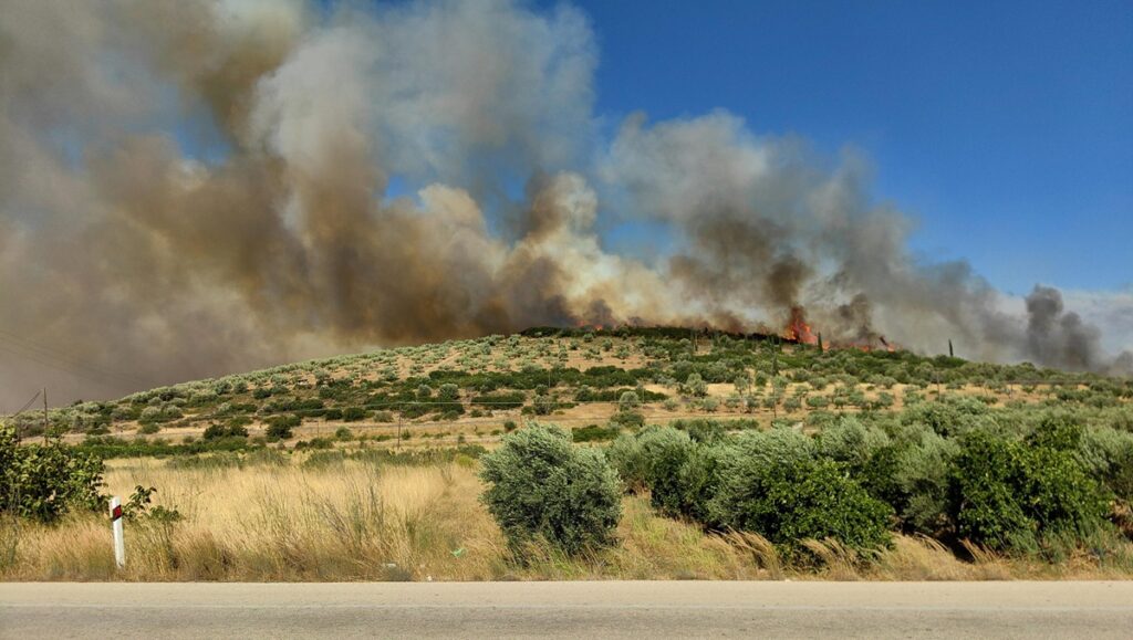 incendi grecia