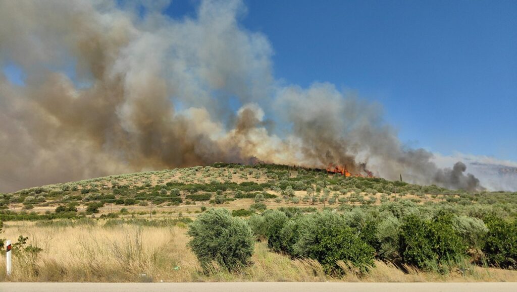 incendi grecia