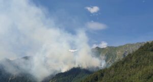 incendi piemonte