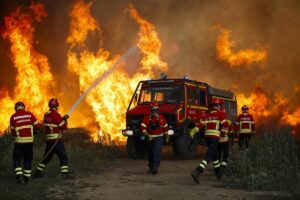 incendi portogallo