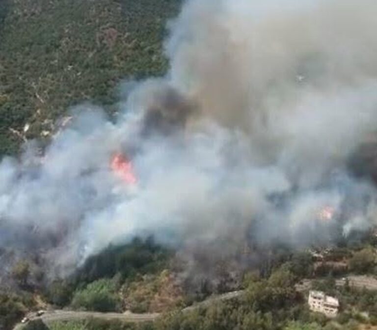 incendi sardegna