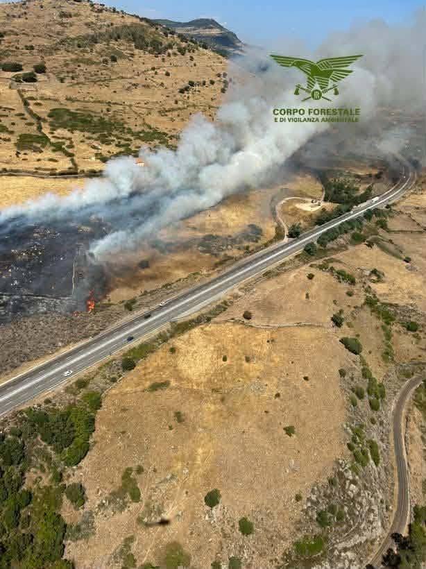 incendi sardegna