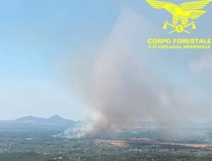 incendi sardegna