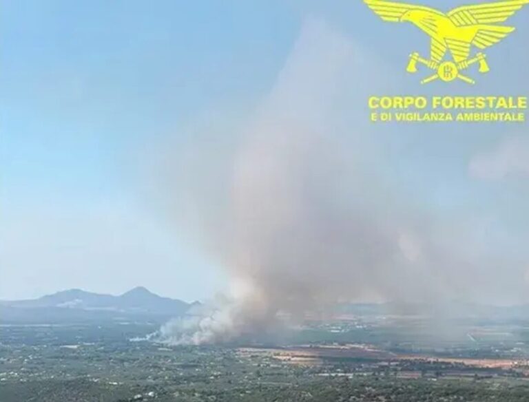 incendi sardegna