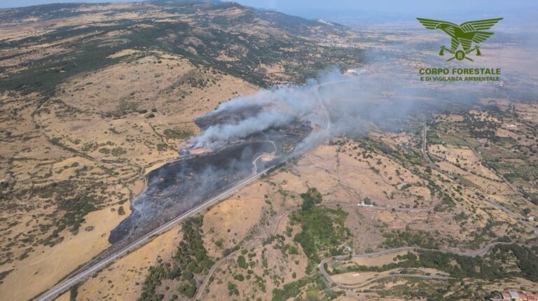 incendi sardegna