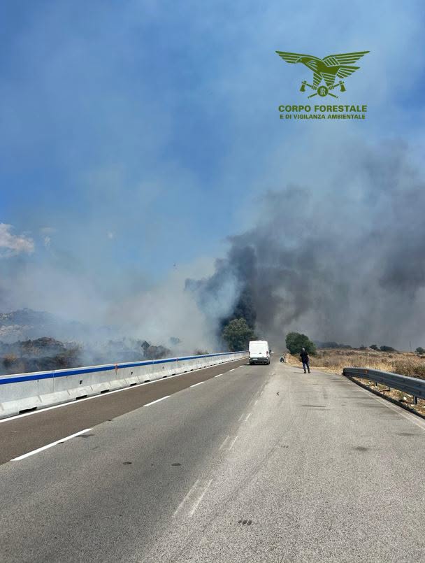 incendi sardegna