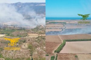 incendi sardegna