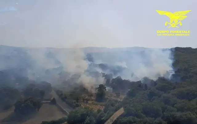 incendi sardegna