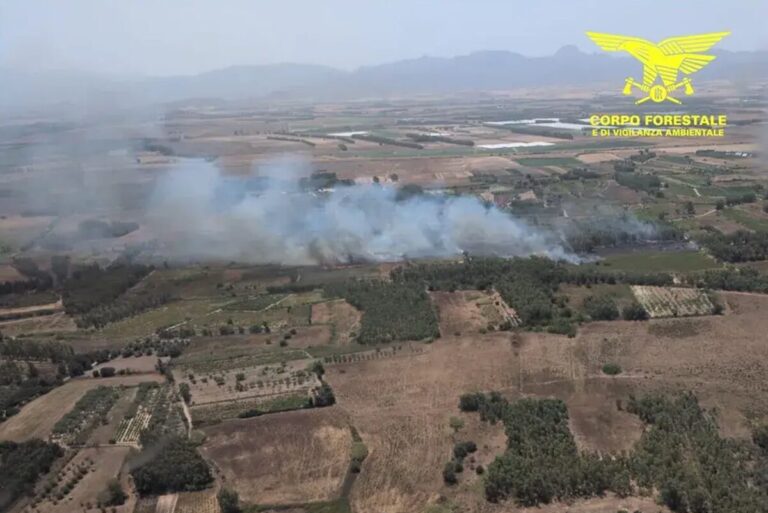 incendi sardgna