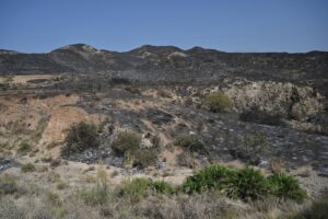 incendi spagna