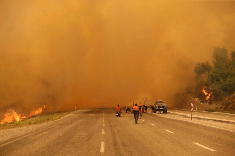 incendi turchia