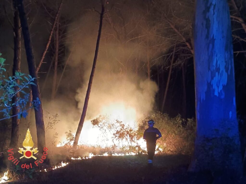 Acconia di Curinga incendio