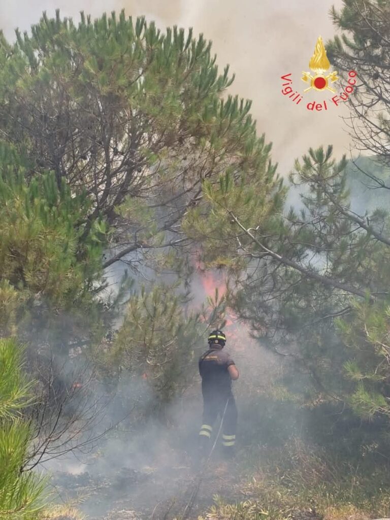Acconia di Curinga incendio