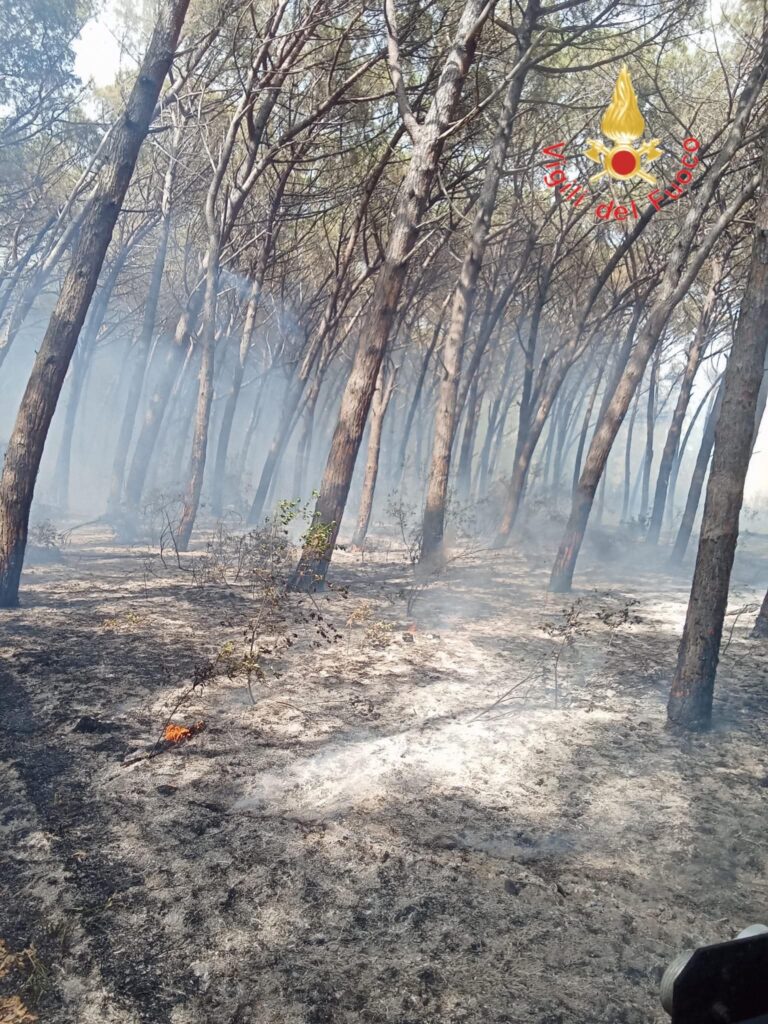 Acconia di Curinga incendio