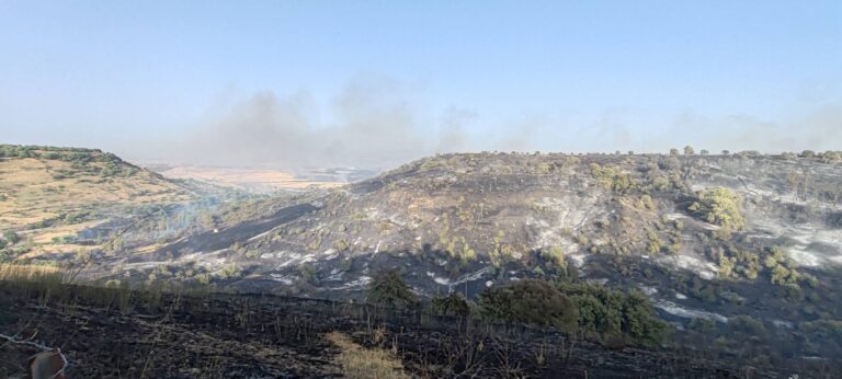 incendio Noragugume sardegna