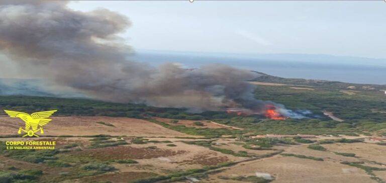 incendio aglientu sardegna
