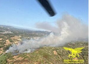incendio arzachena sardegna