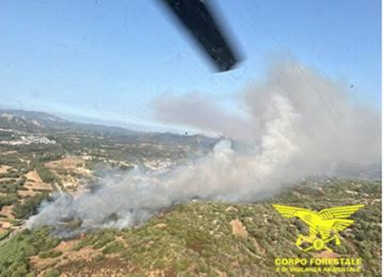 incendio arzachena sardegna