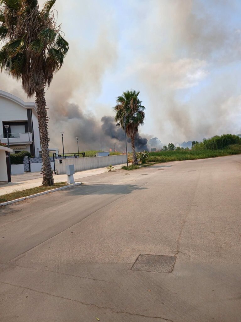 incendio campomarino molise