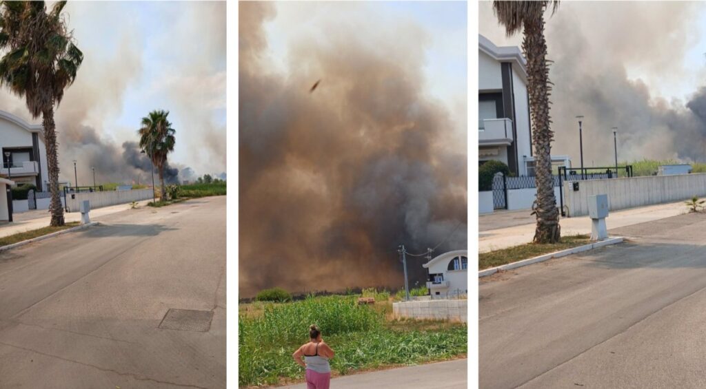 incendio campomarino molise