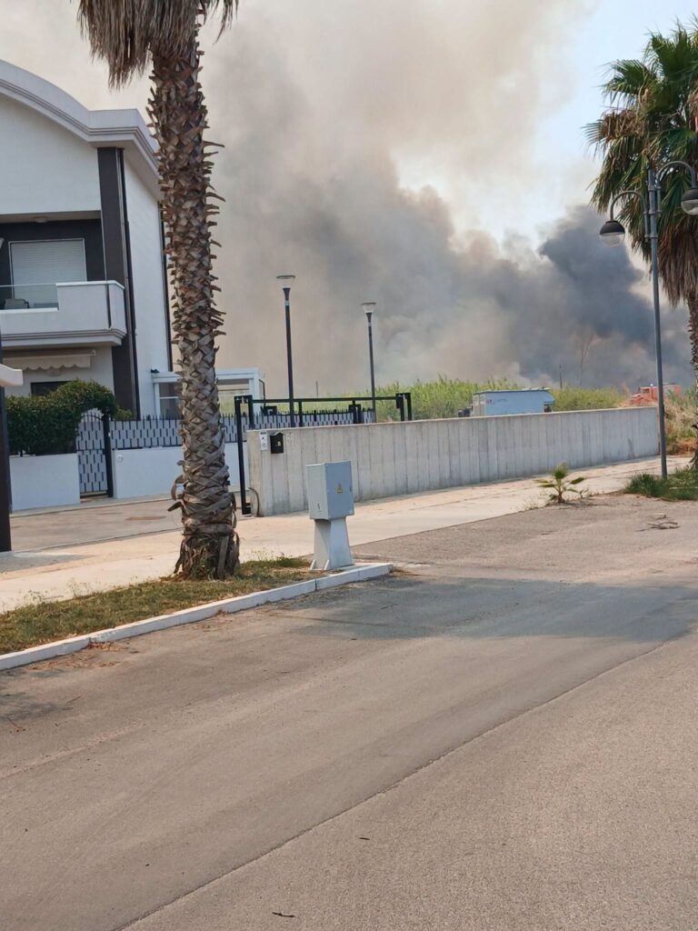 incendio campomarino molise