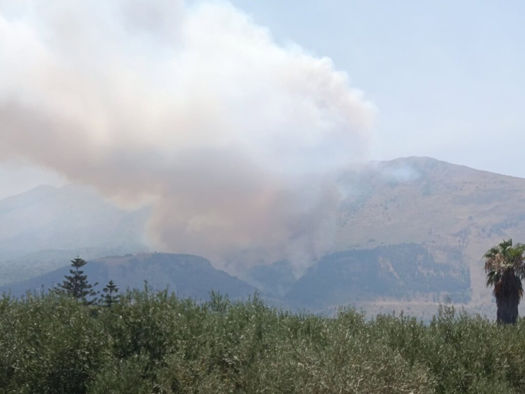 incendio carini