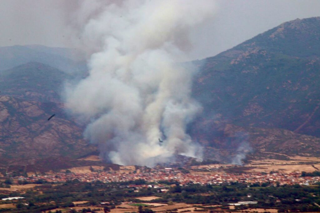 incendi sardegna