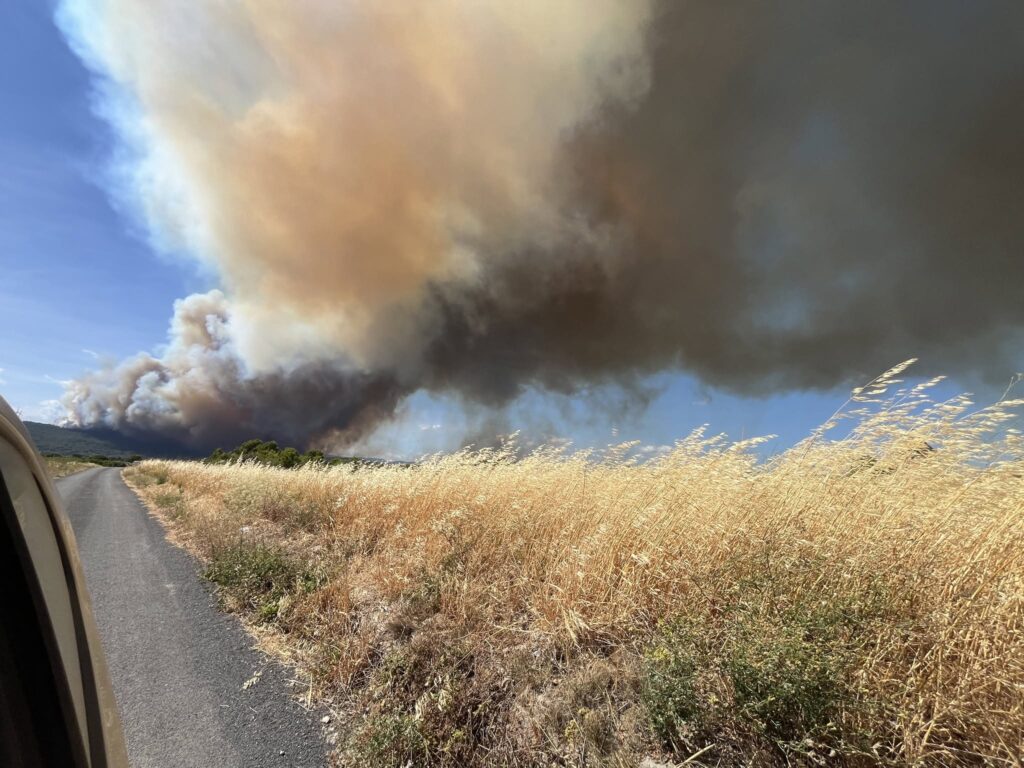 incendio francia