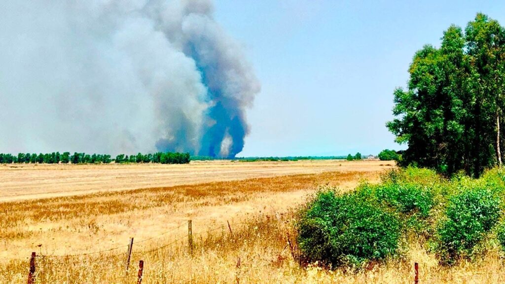 incendio guspini sardegna