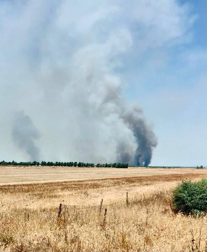 incendio guspini sardegna