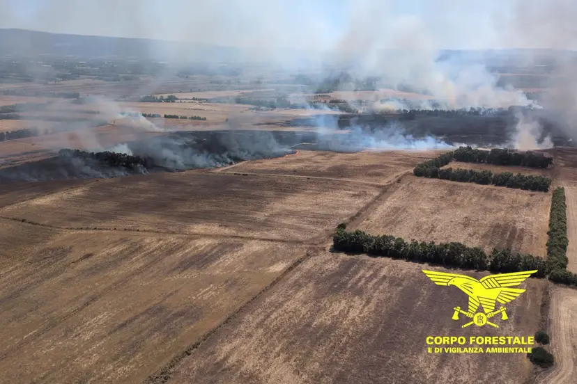 incendio guspini sardegna
