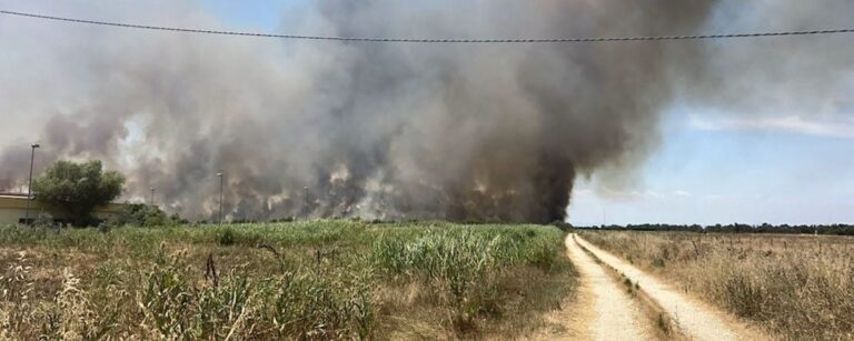 incendio lago salso puglia