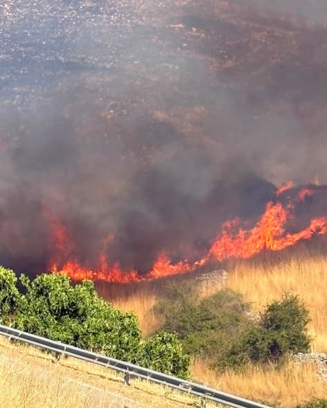 incendio minervino murge