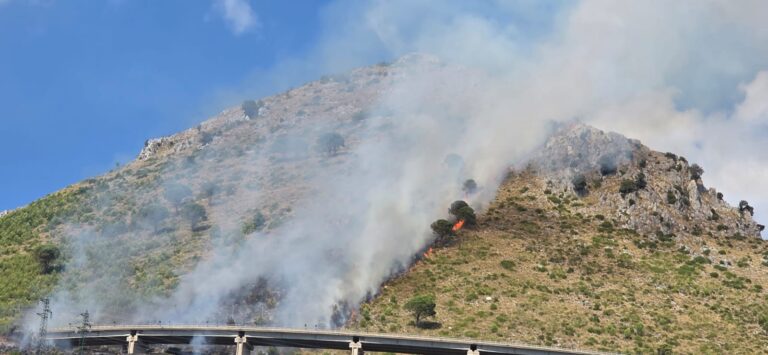 incendio monte vingiolo calabria