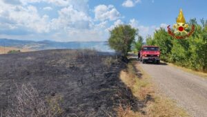 incendio piavola emilia romagna
