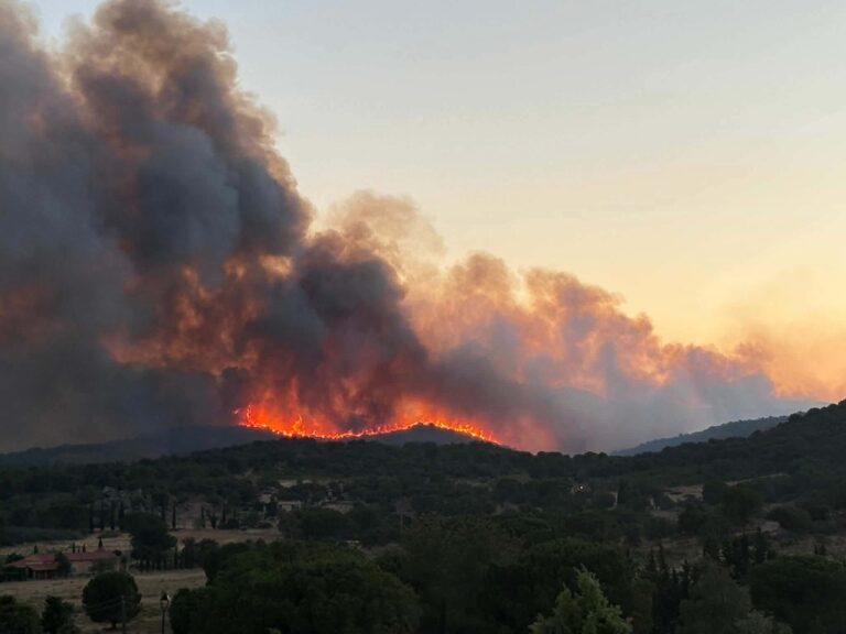 incendio pirenei orientali