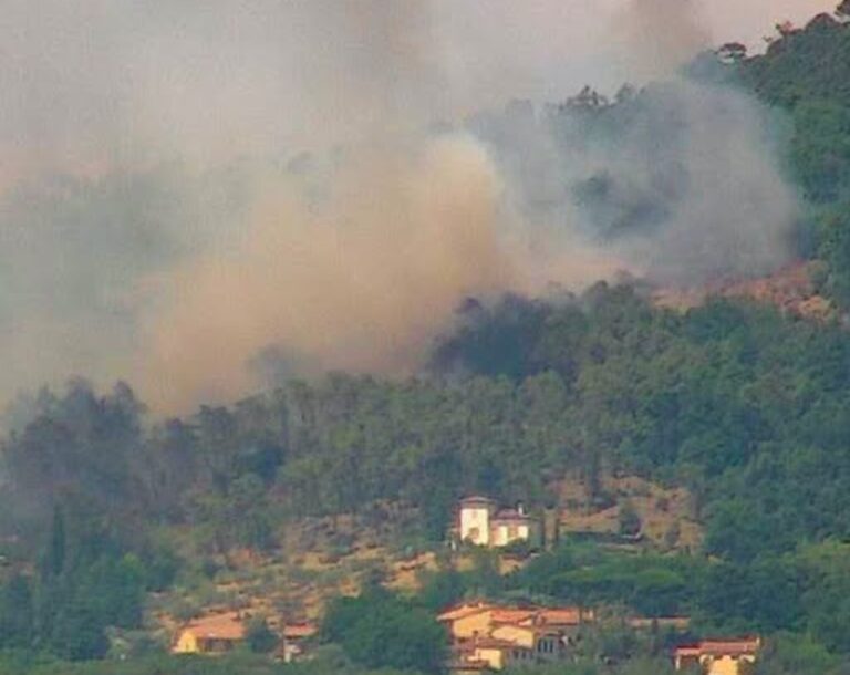 incendio prato