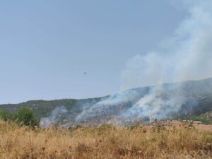 incendio solanas sardegna