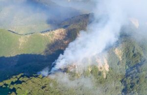 incendio vicchio toscana mugello