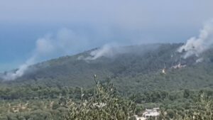incendio vico gargano puglia