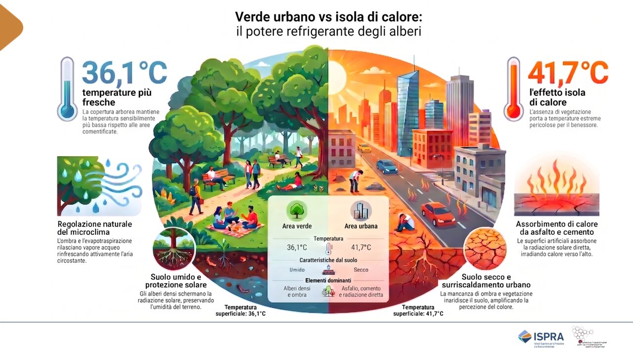 isole calore urbane