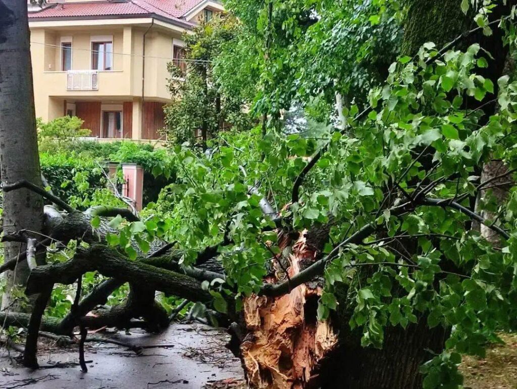 maltempo cuneo piemonte