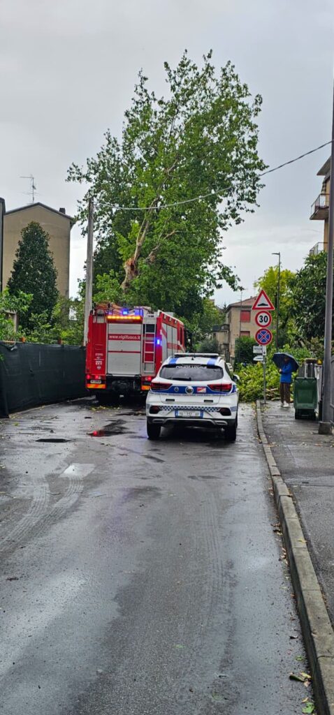 maltempo fidenza emilia romagna