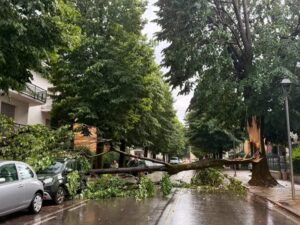 maltempo fidenza emilia romagna