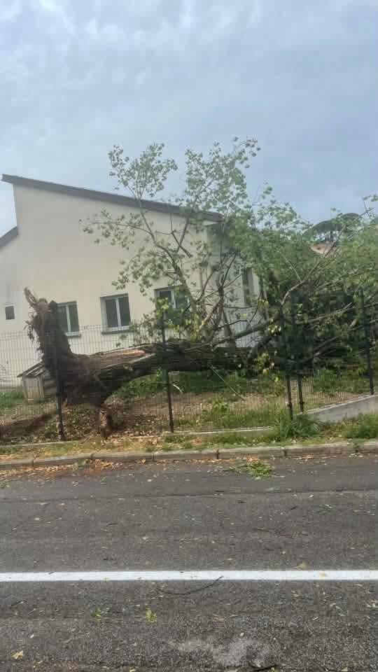 maltempo friuli