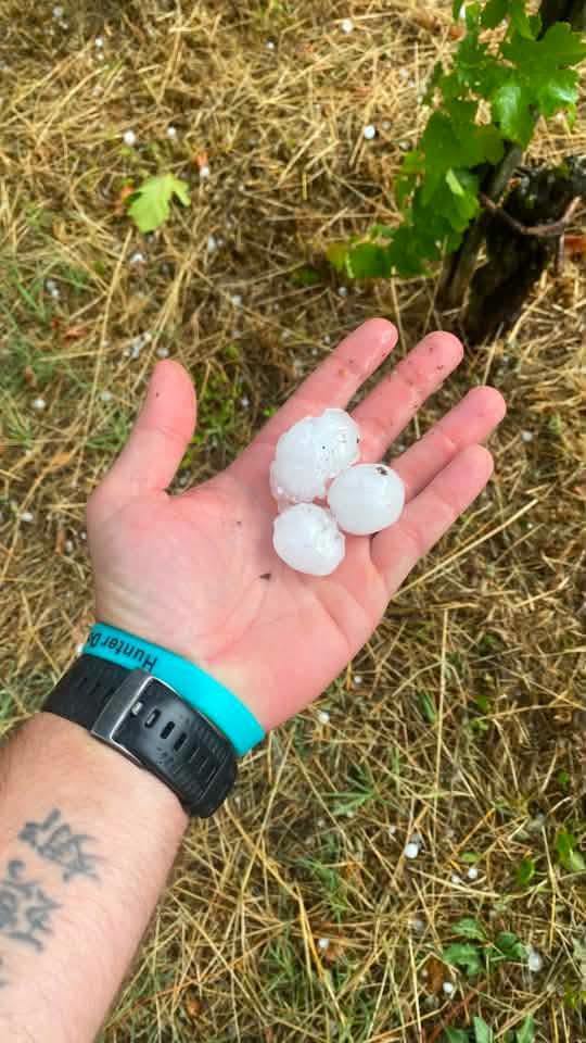 maltempo grandine fosio emilia romagna
