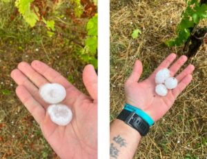 maltempo grandine fosio emilia romagna