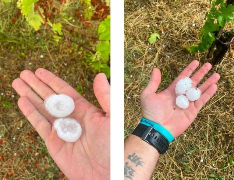 maltempo grandine fosio emilia romagna